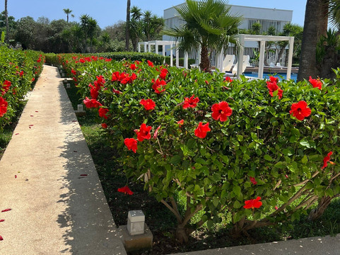 Avgorou酒店住宿-So Hotels Beach Resort