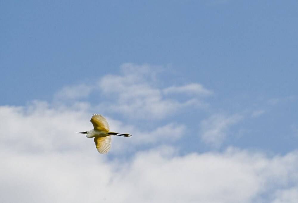 Discovering Donana-El Rocio必去景点