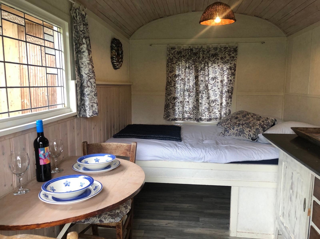 Camping en B&B Welgelegen主图