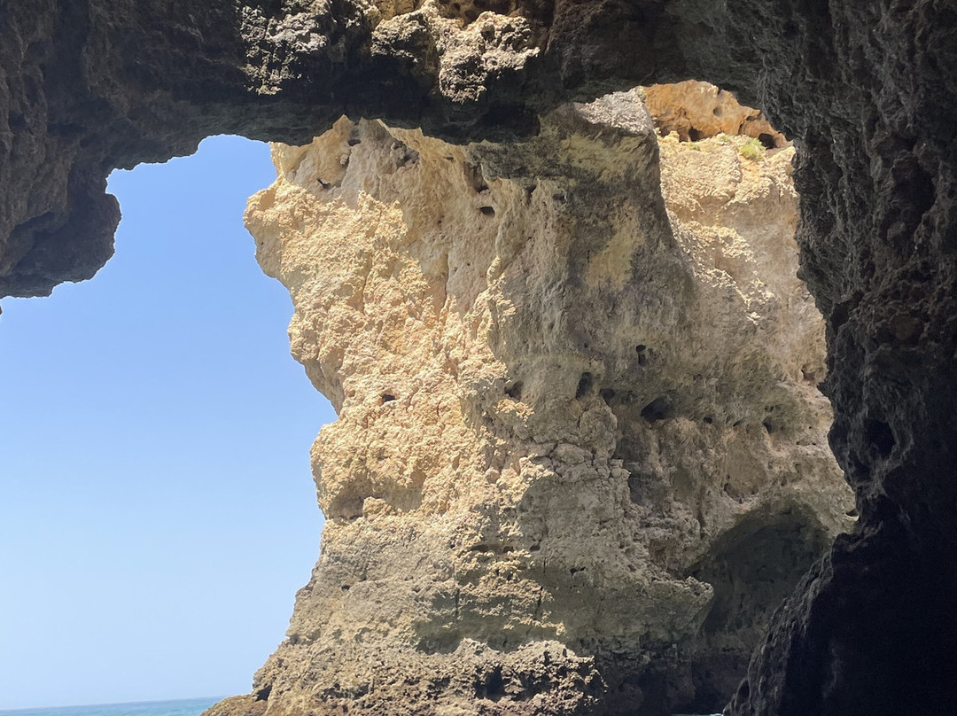 Algarve Seafaris-维拉摩拉必去景点