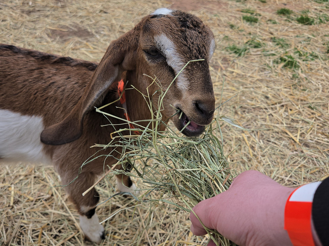 Island Hill Farm Inc-Hampshire必去景点