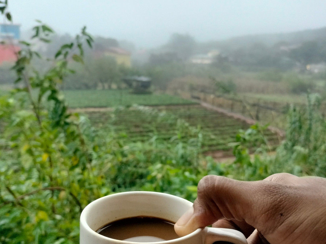 Treebo Jp Cottage主图