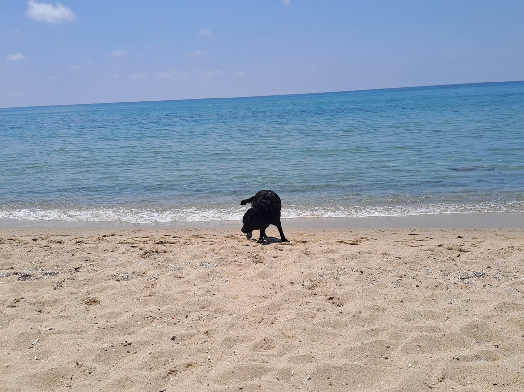 Spiaggia delle Saline-Palinuro必去景点