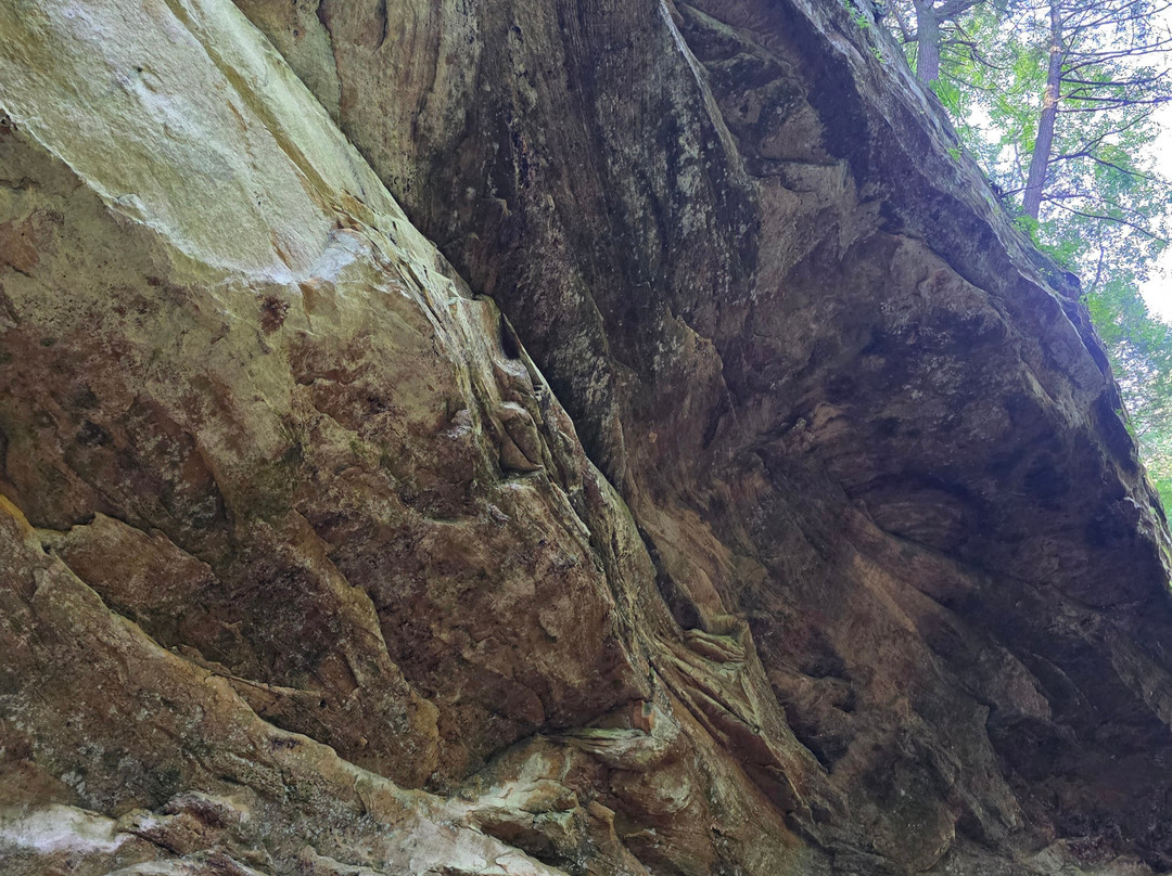 The Ghost Patrol-New Plymouth必去景点