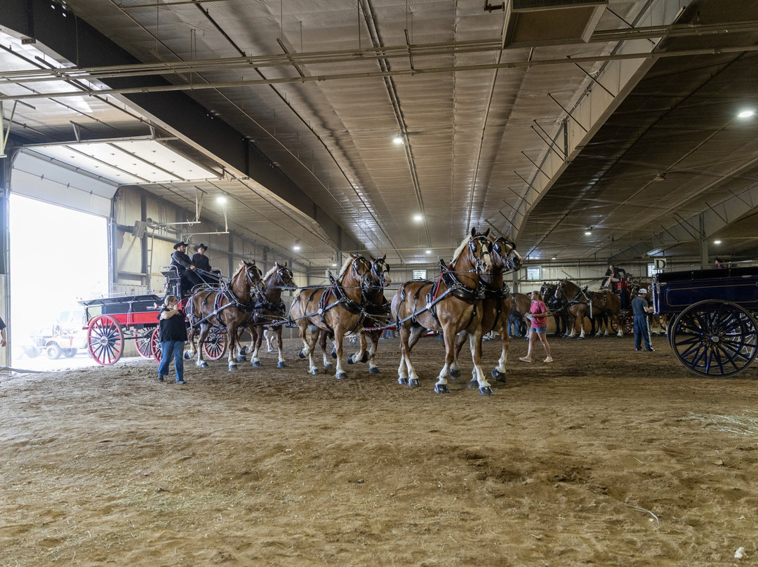 Michiana Event Center-Shipshewana必去景点