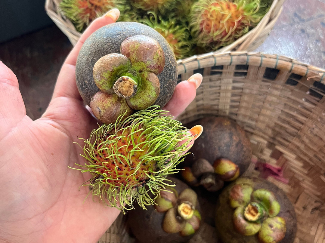 Khao Sok Travel-万打坤必去景点