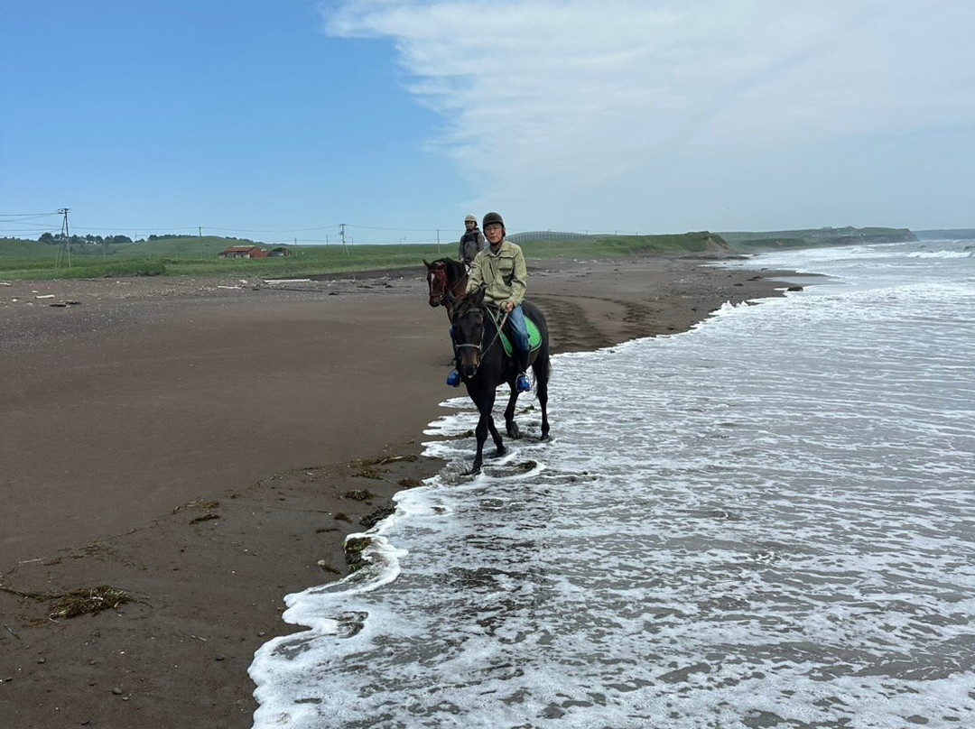 North Pacific Sea Side Line Horse Club-滨中町必去景点