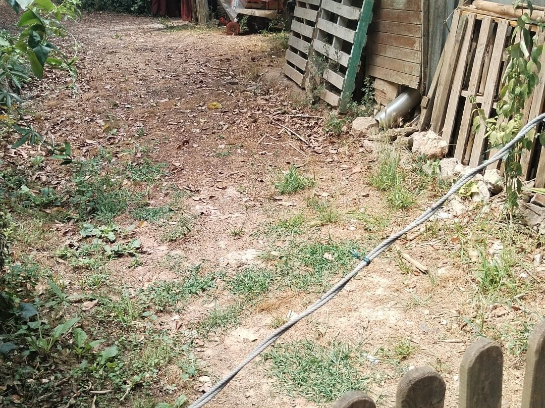 Hotel Boutique Torre Barcelona主图