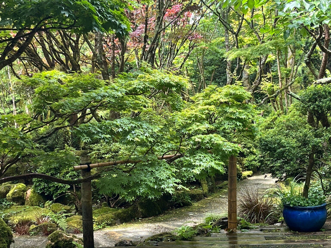 The Japanese Garden-St. Mawgan必去景点