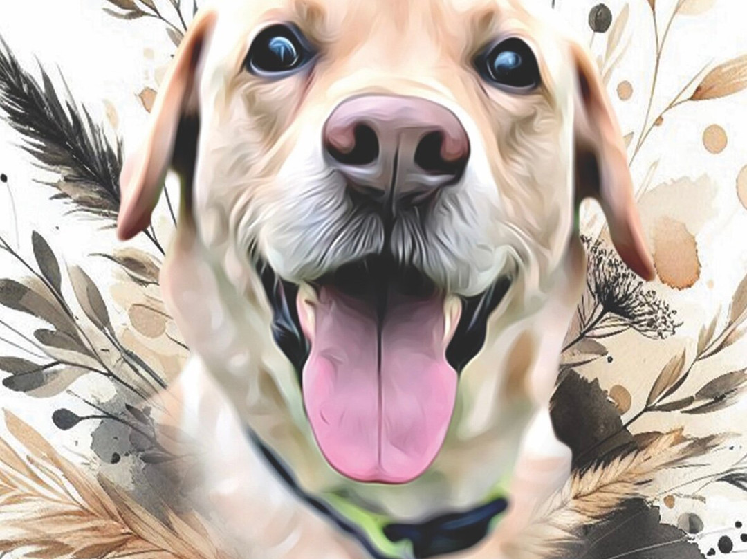 Neldi Art Gallery-帕福斯必去景点