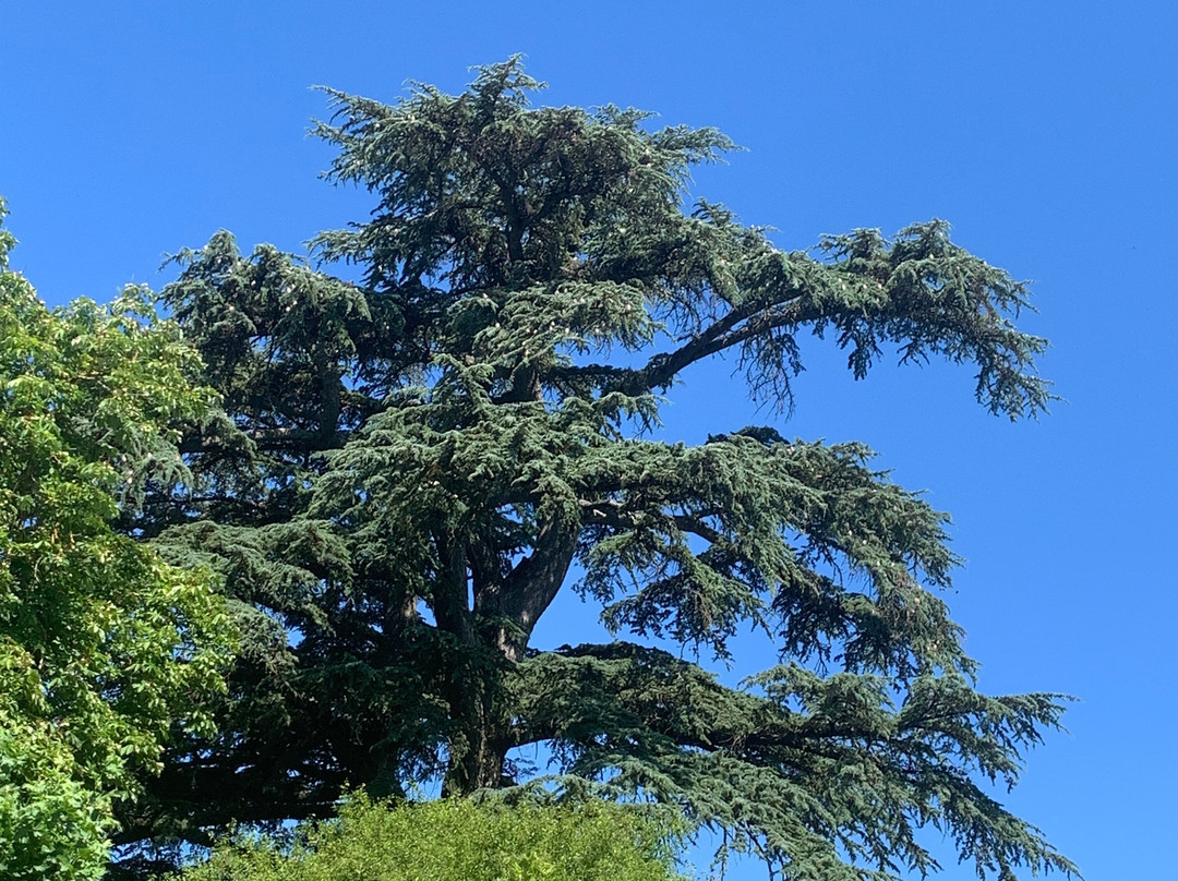 Domaine Saint Dominique主图