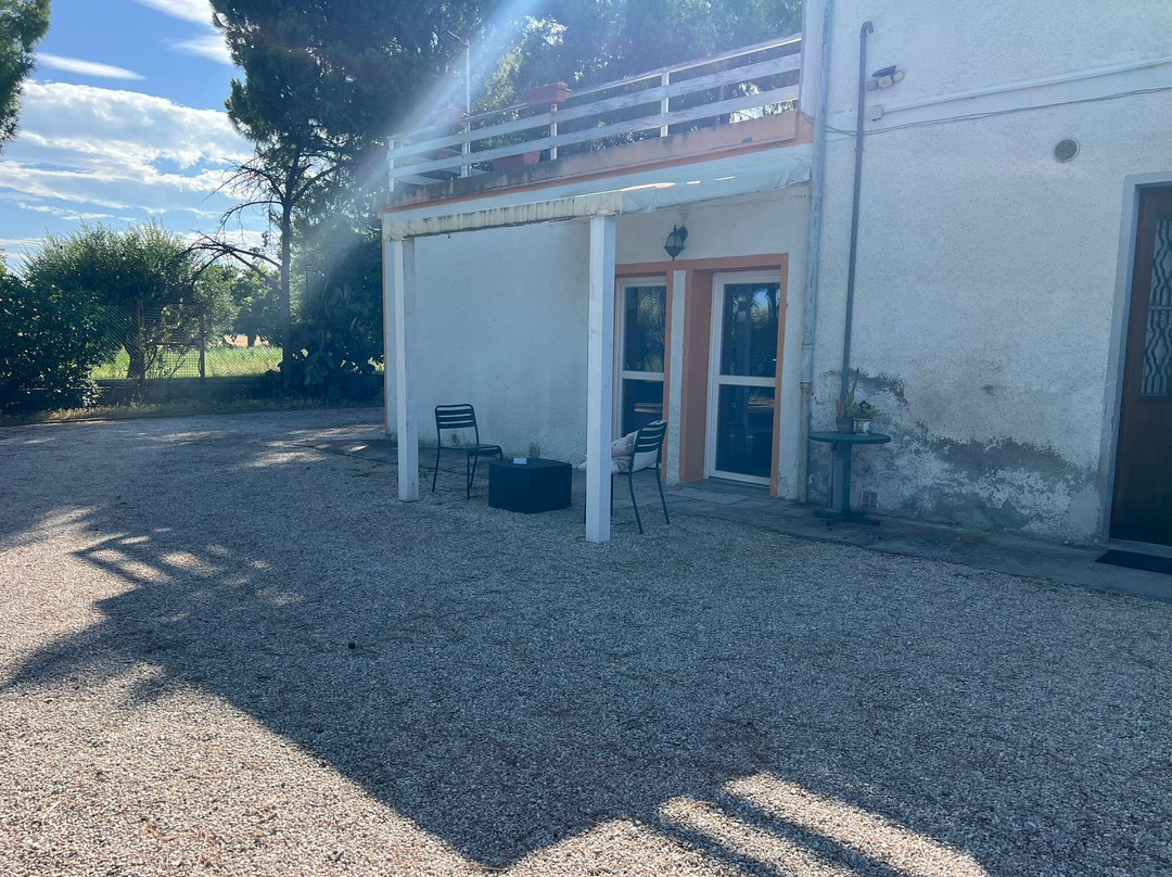 B & B Sotto le Stelle主图