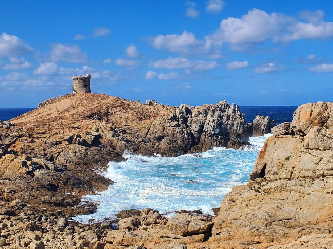 Torra d'Omigna-Cargese必去景点