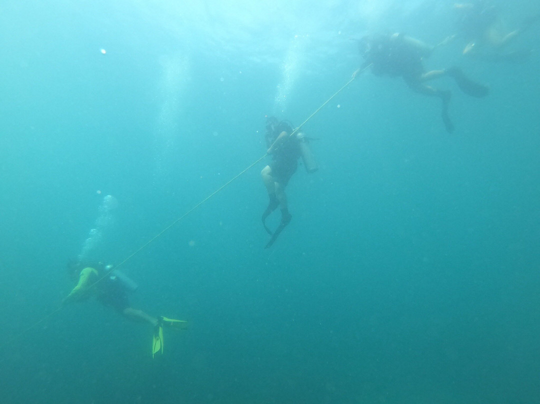 Dressel Divers Puerto Vallarta-蓬塔米塔必去景点