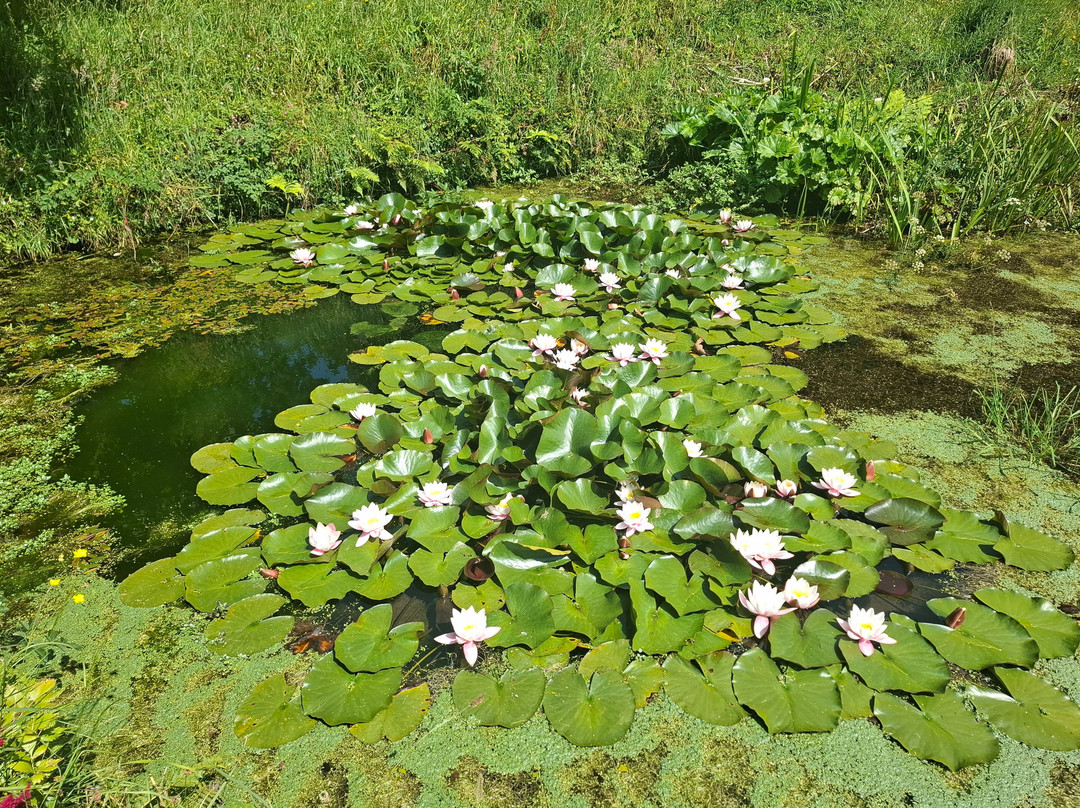 Glendurgan Garden-法尔茅斯必去景点