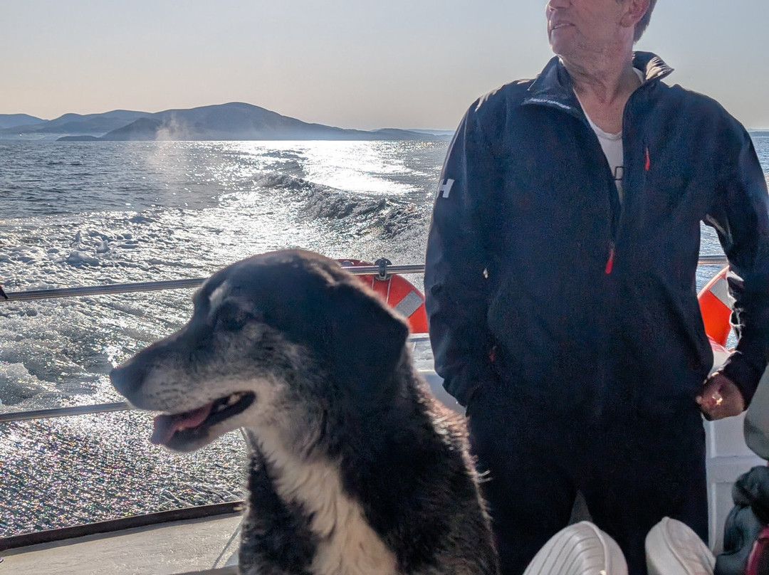 Skellig Tours-Caherdaniel必去景点