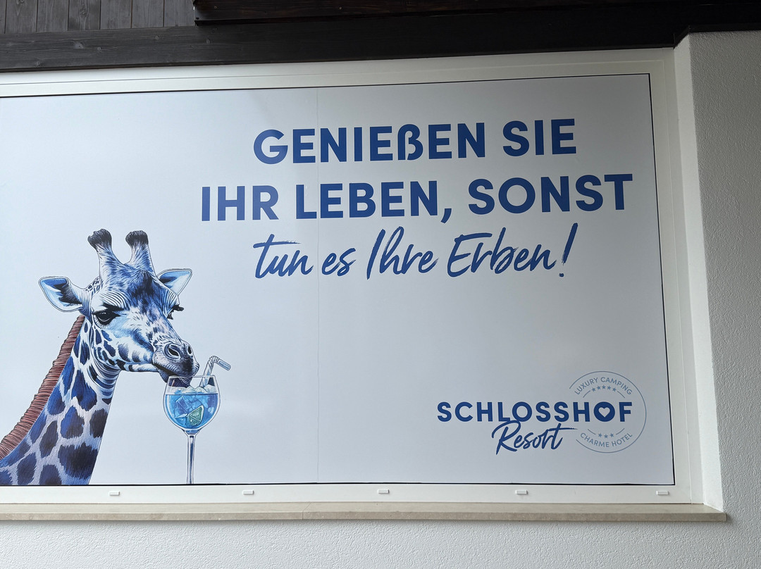 Schlosshof Hotel & Resort主图