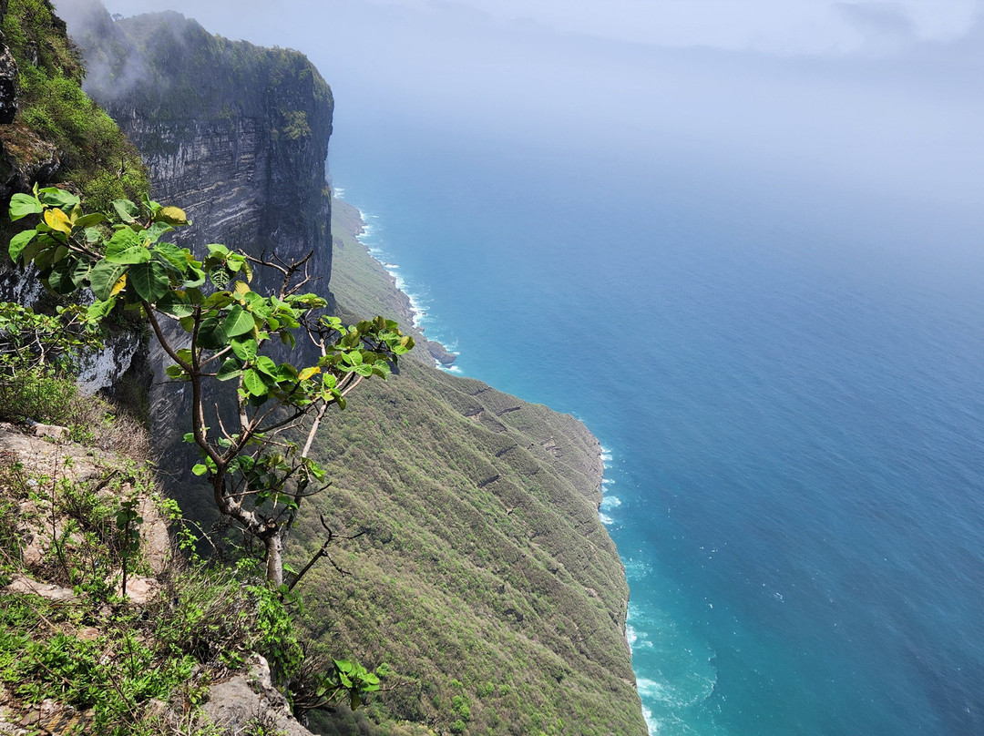 Glory Tours Salalah-塞拉莱必去景点