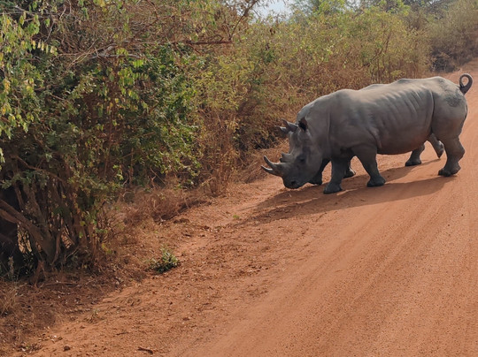 Inzozitours-Kinigi必去景点
