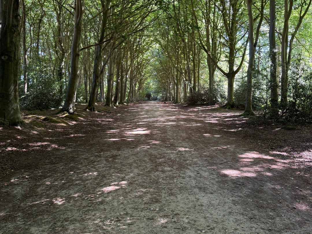 Bacton Woods-North Walsham必去景点