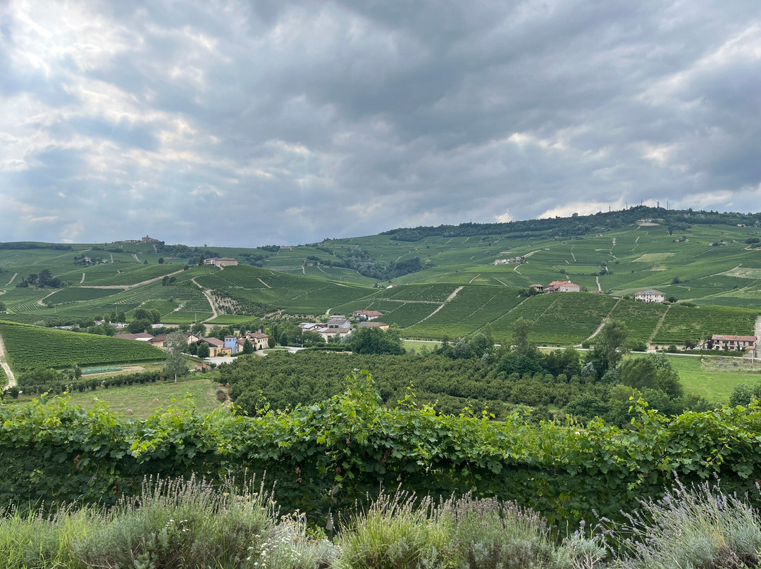 Azienda Agricola Cascina Pugnane S.S. dei F.lli Ghisolfi-Castiglione Falletto必去景点