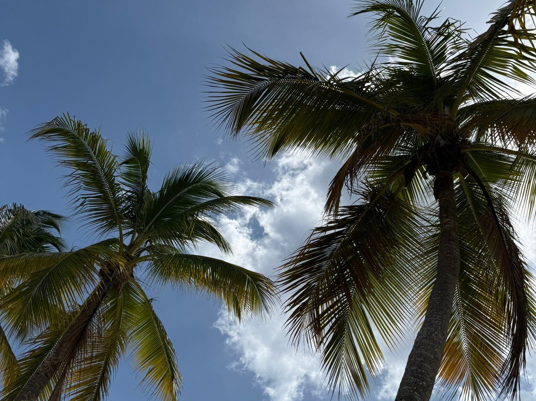 Isla Catalina-拉罗马纳必去景点