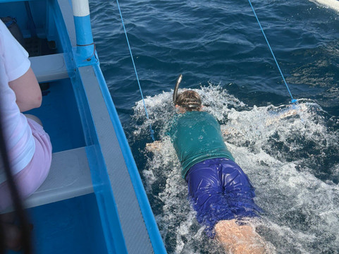 Dolphin Boat Lovina-罗威那海滩必去景点