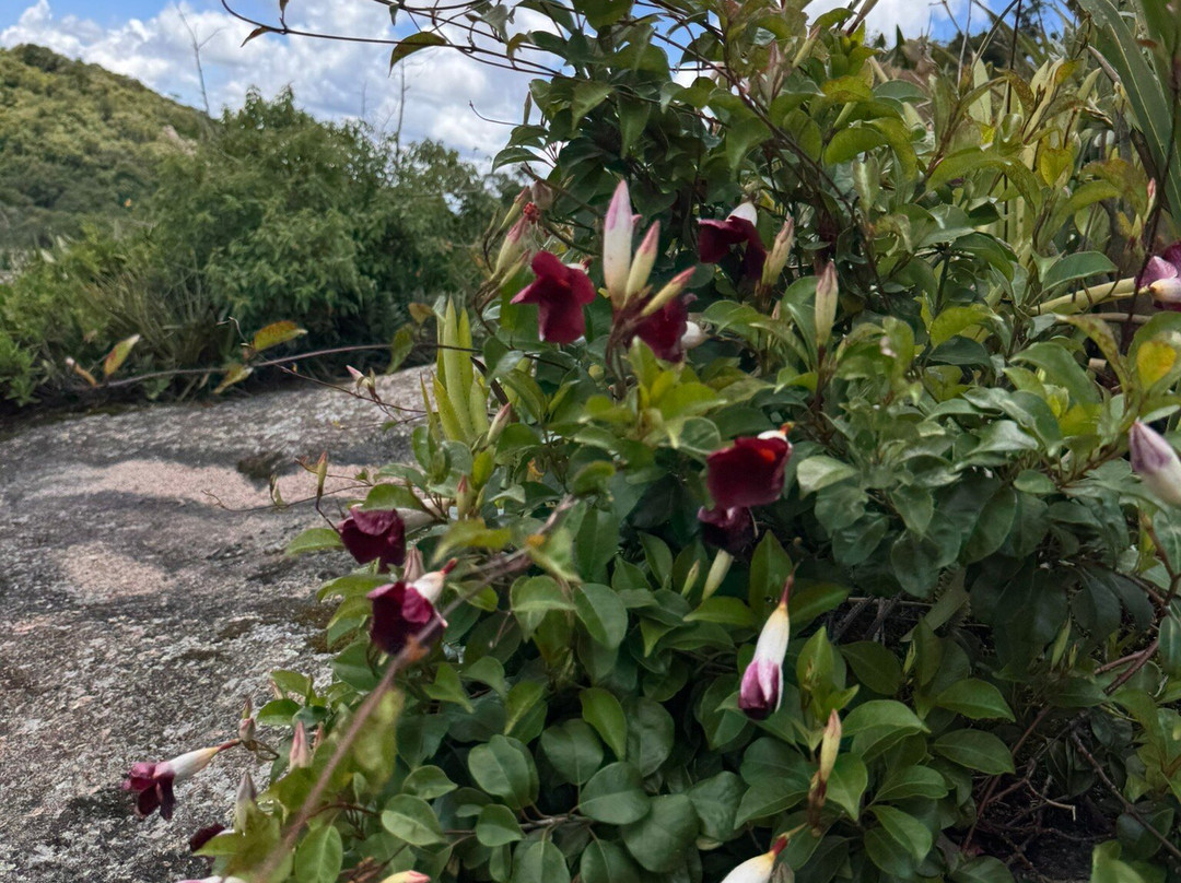 Lopo Peak-Extrema必去景点