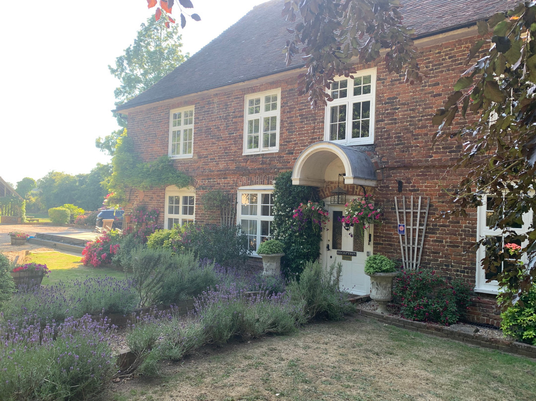 Molland Manor House B&B主图