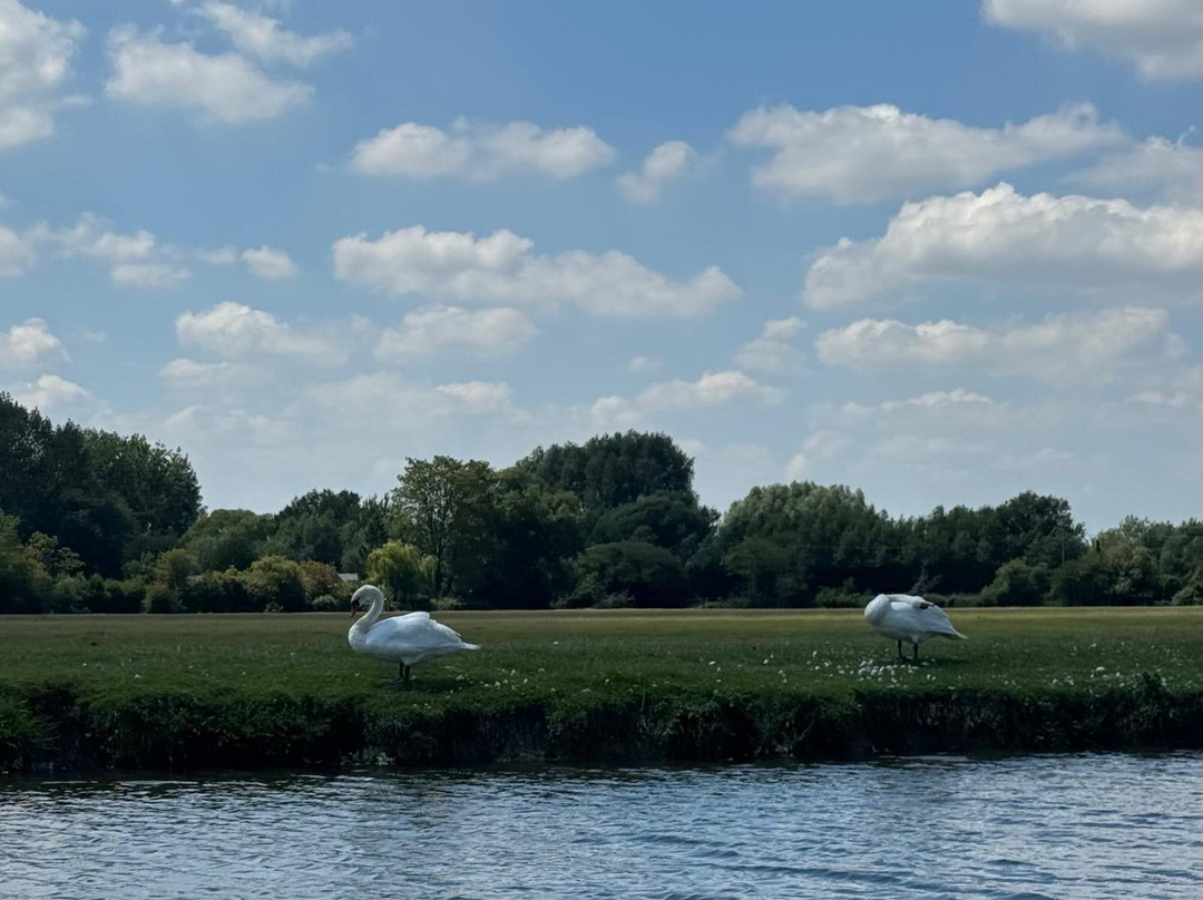 Cotswold Canals Trust Visitor Centre Wallbridge-斯特劳德必去景点