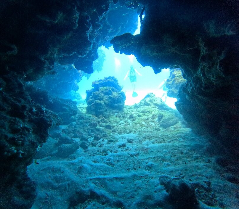 Off the Wall Divers-大开曼岛必去景点