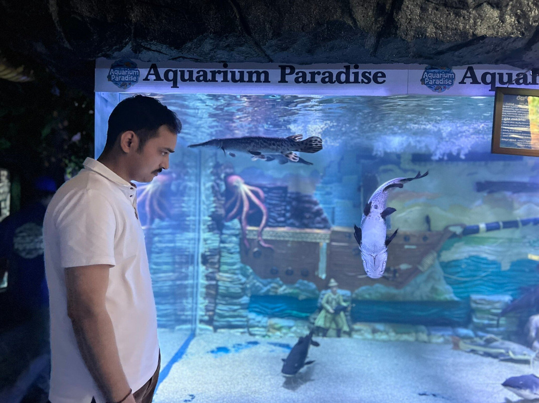Aquarium Paradise