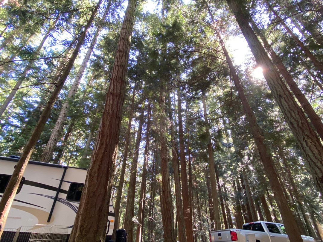 Washington Park-Anacortes必去景点