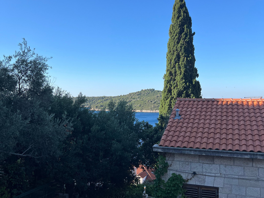 Villa Leoni Apartments主图