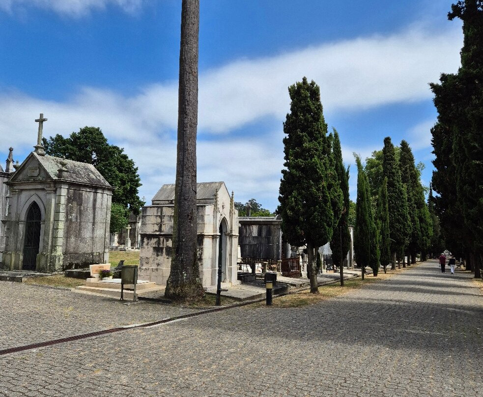 Cemitério do Prado do Repouso-波尔图必去景点