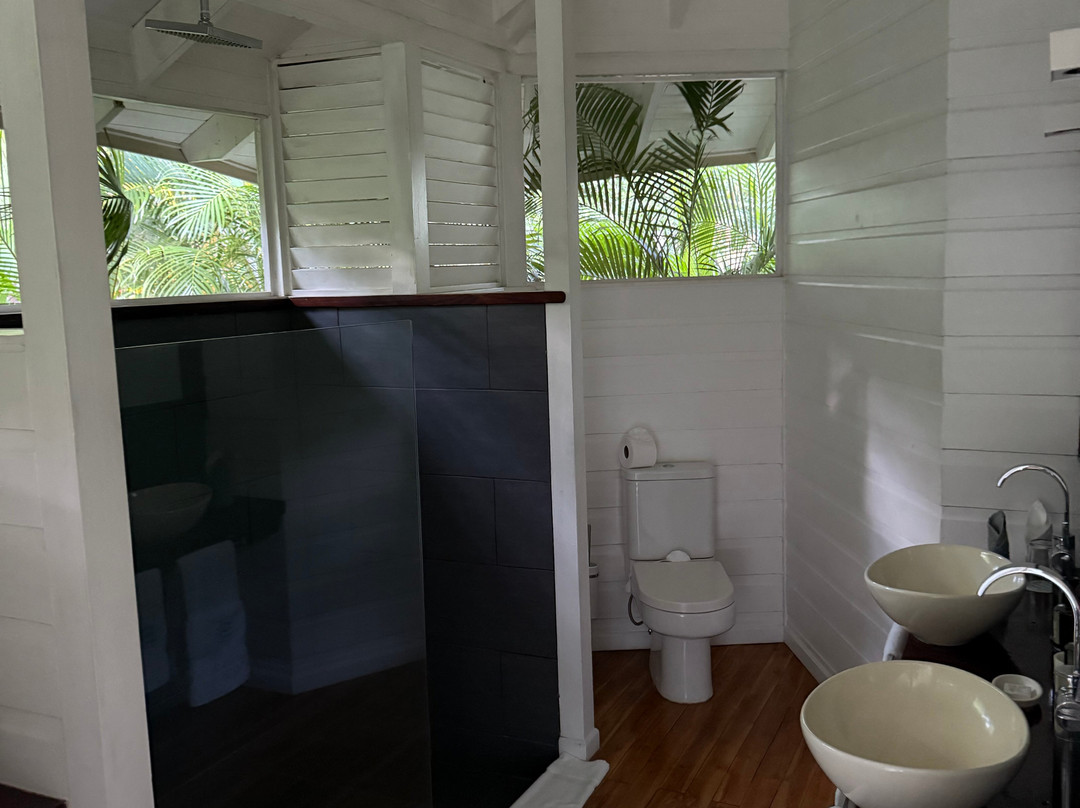 Mikado Natural Lodge主图