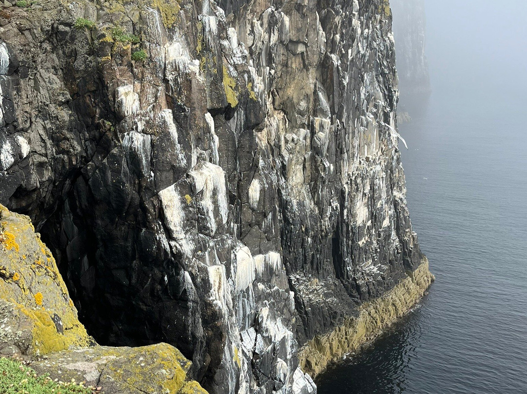 Isle of May National Nature Reserve-Anstruther必去景点