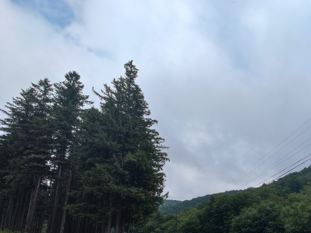 Middlebury Snowbowl-Hancock必去景点