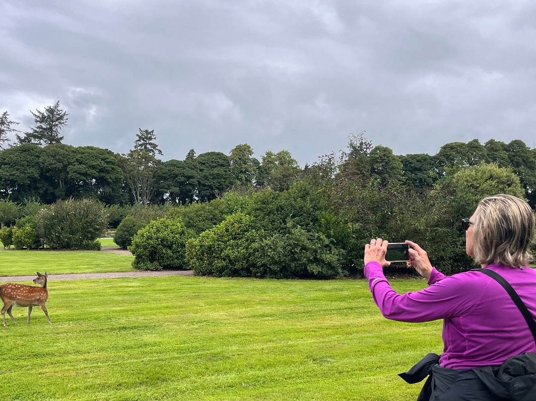 Killarney House Gardens-基拉尼必去景点