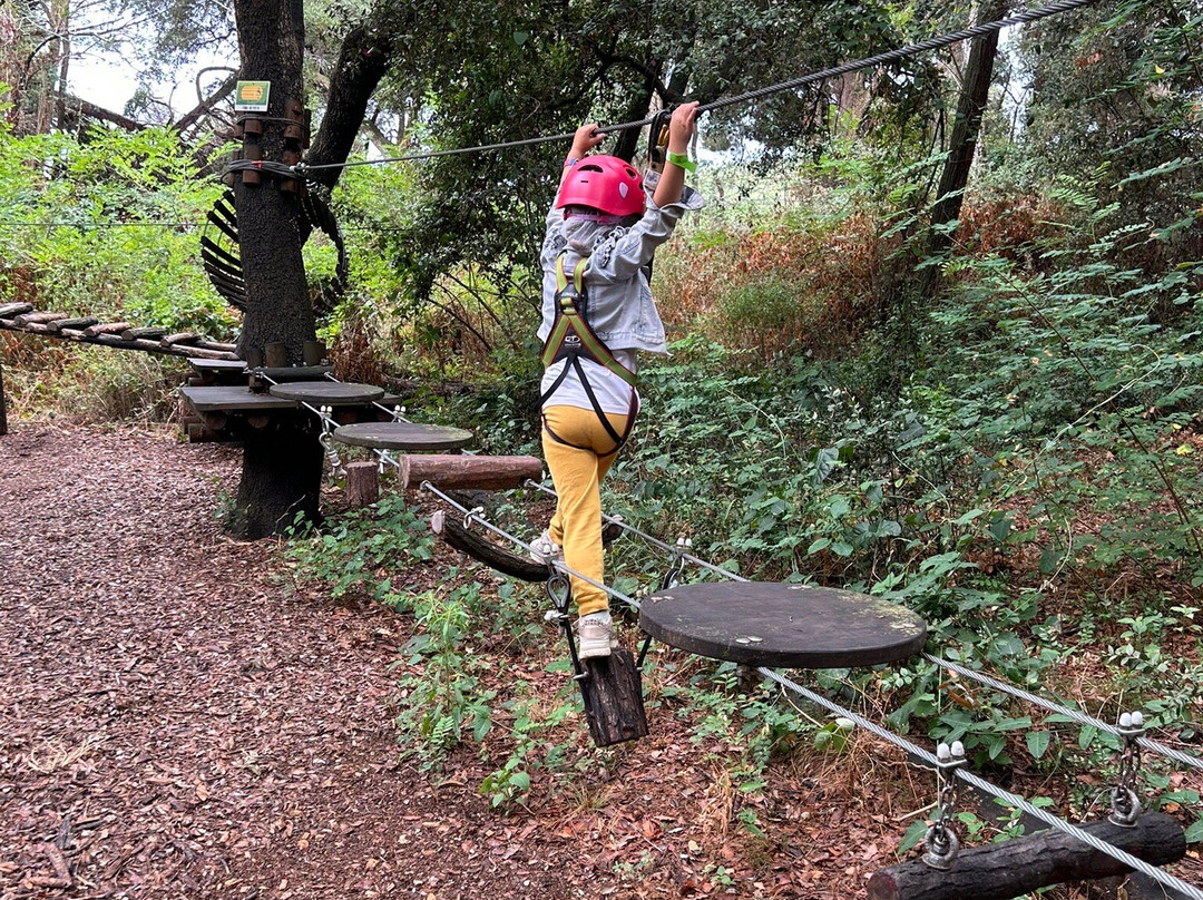 Costa Brava Parc Aventura-普拉特哈达罗必去景点