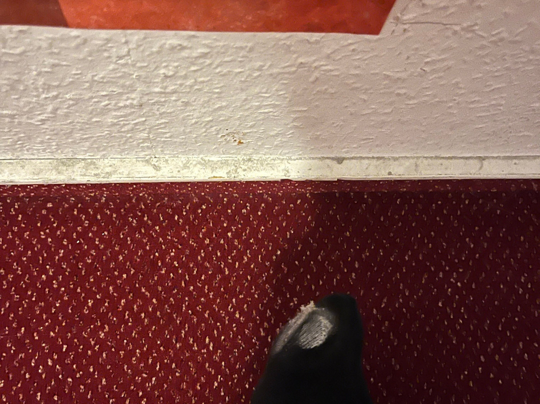 Hotel Harsshof主图