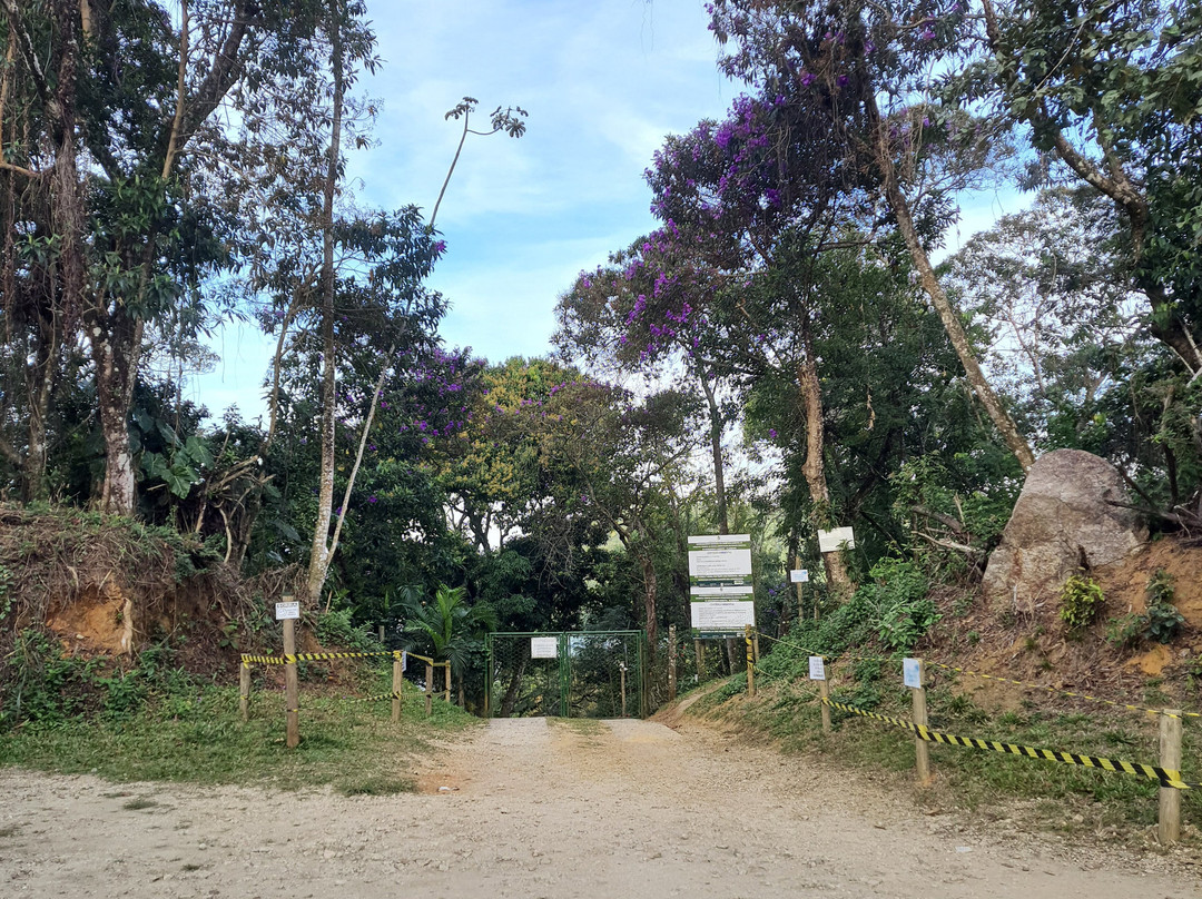 Prainha Beach-帕拉地必去景点