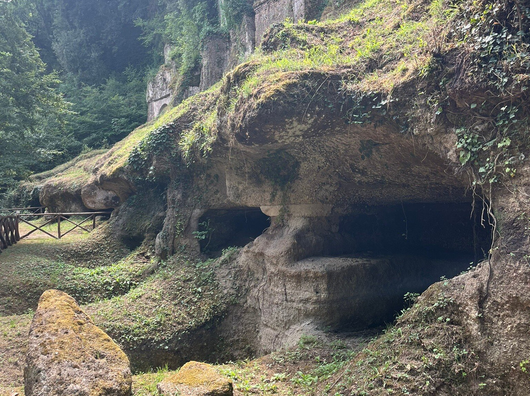 Parco Archeologico Citta del Tufo-Sovana必去景点