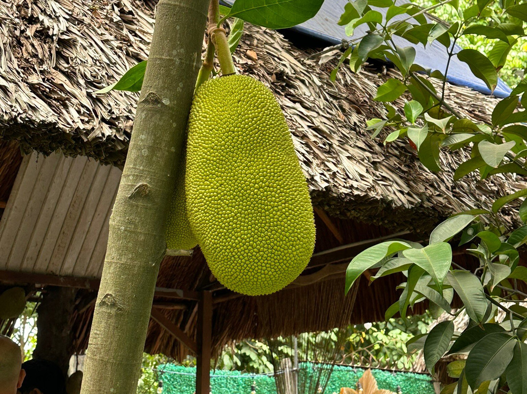 Quán Ăn Gia Đình Vườn Măng Bình Nhâm