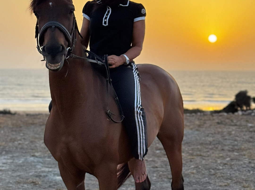 Ranch de Diabat-索维拉必去景点