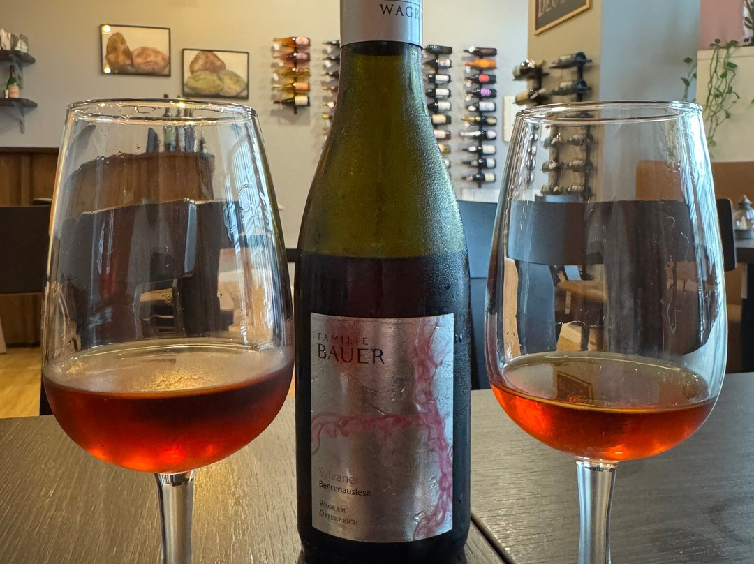 Wine Prosa-沙尔必去景点