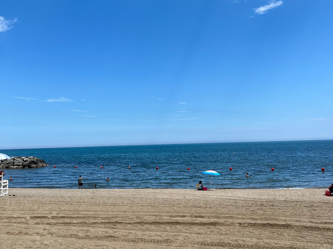 Rosewood Beach-Highland Park必去景点