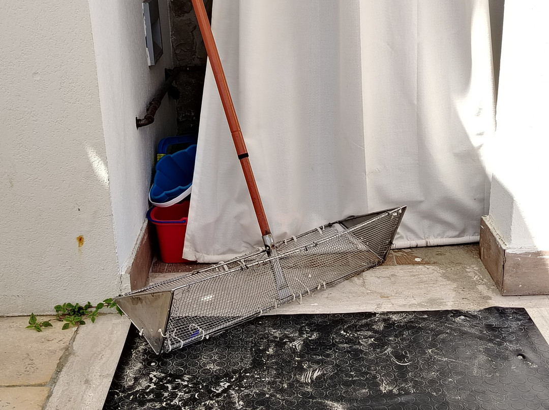 Hotel La Perla主图