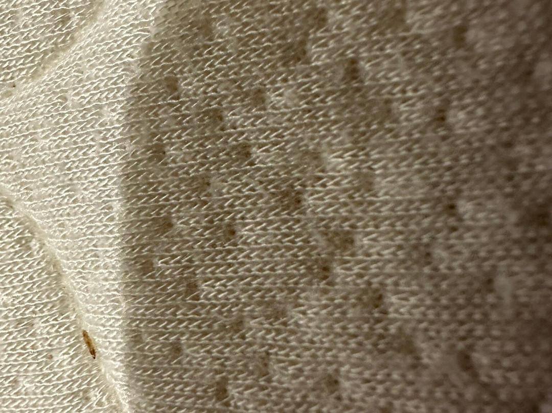 Hôtel Restaurant De L'abbaye主图