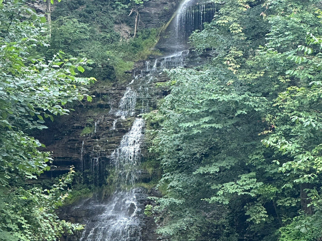 Cathedral Falls-Gauley Bridge必去景点